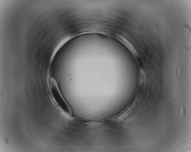 X0000096650812200802191241