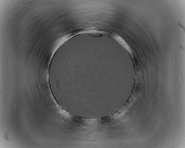 X0000096650813200802191241