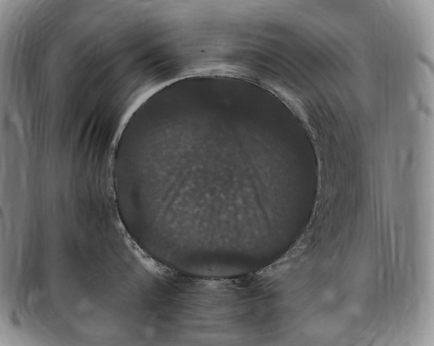 X0000096650816200802191241