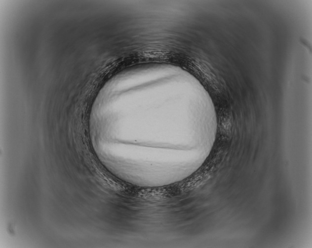 X0000096650817200802191240