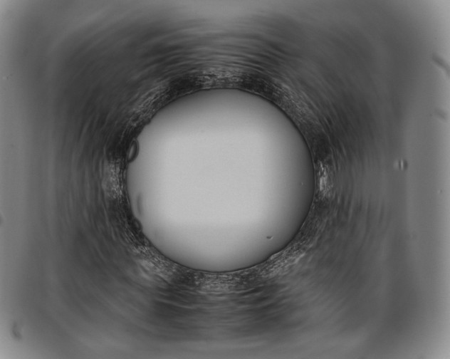 X0000096650819200802191240