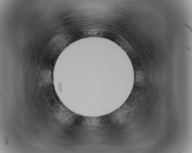 X0000096650820200802191240