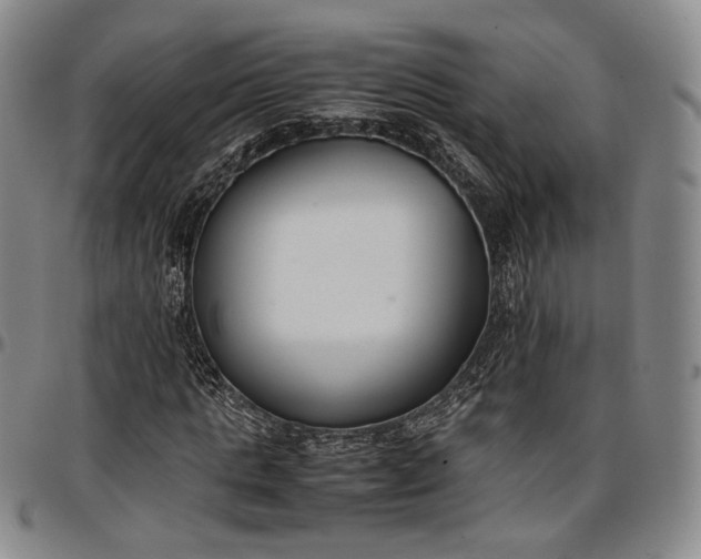 X0000096650821200802191240