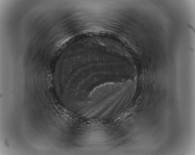 X0000096650822200802191240