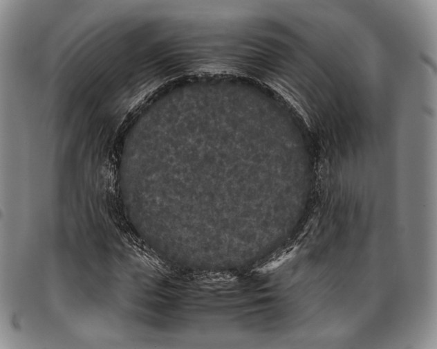 X0000096650823200802191240