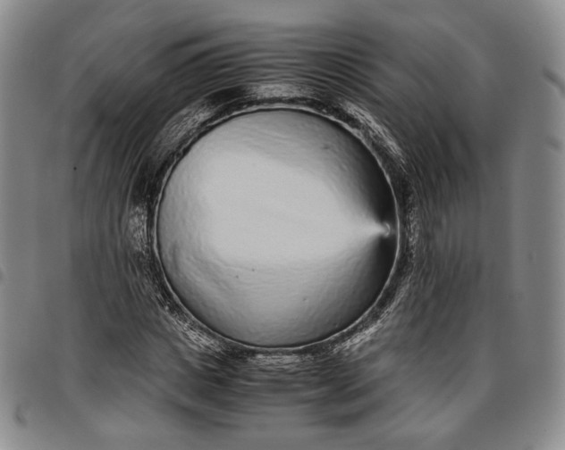 X0000096650825200802191240