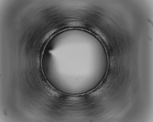 X0000096650829200802191240