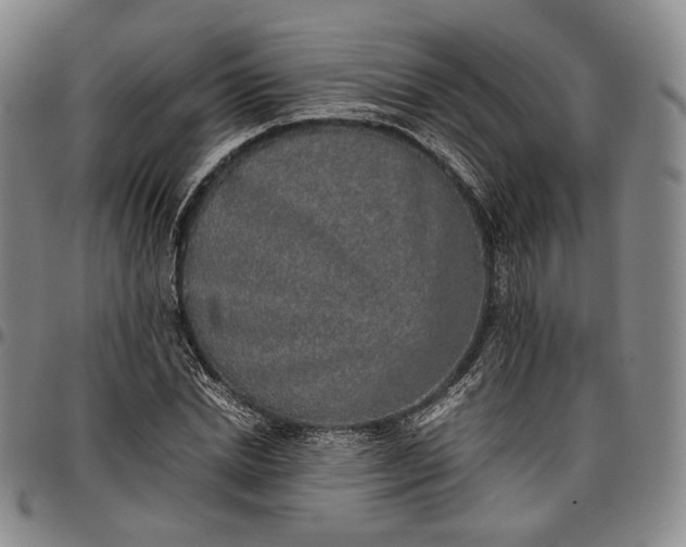 X0000096650830200802191240