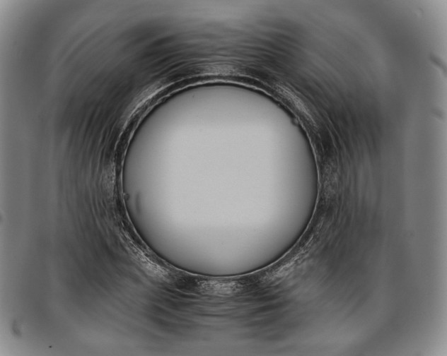 X0000096650831200802191240