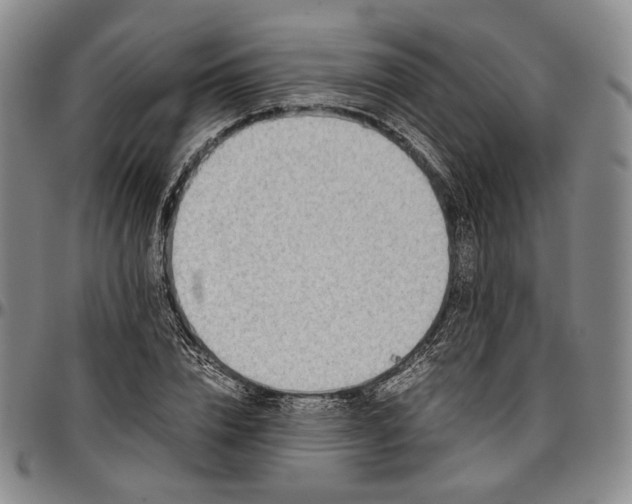 X0000096650832200802191240