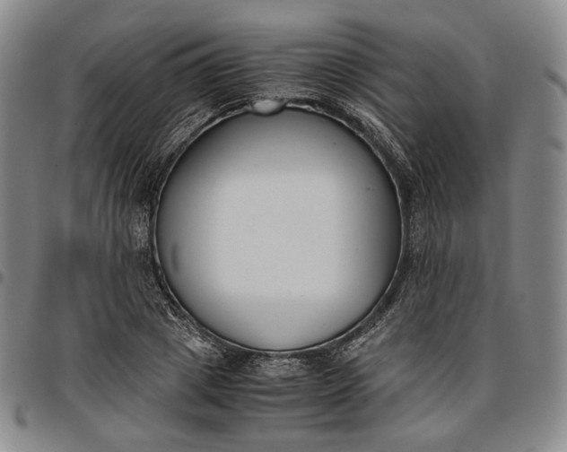 X0000096650833200802191240