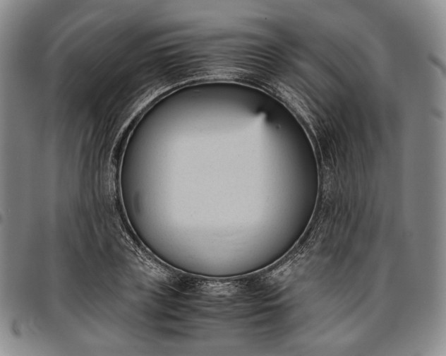 X0000096650835200802191241
