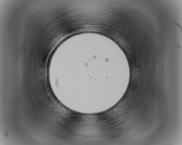 X0000096650836200802191241
