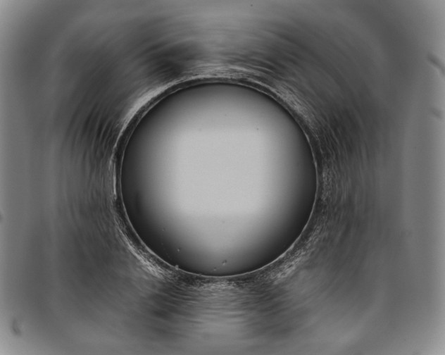 X0000096650838200802191241