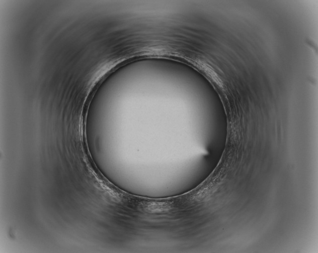 X0000096650839200802191241