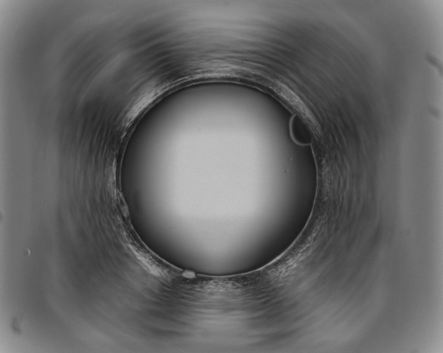 X0000096650842200802191241