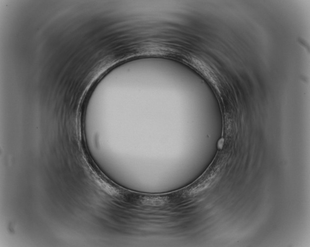 X0000096650843200802191241