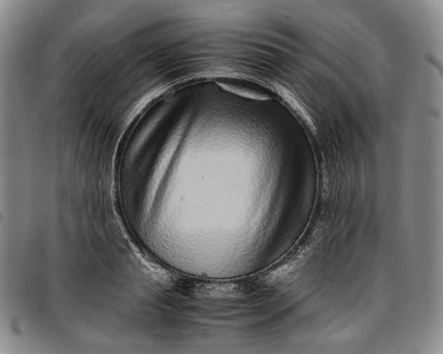 X0000096650845200802191241