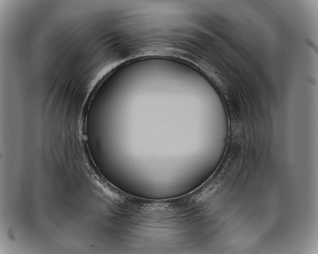 X0000096650846200802191241