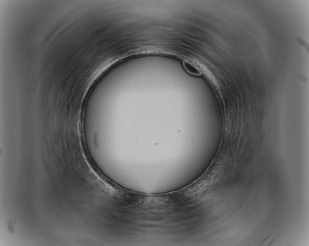 X0000096650847200802191241
