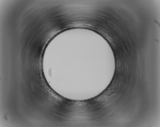 X0000096650848200802191241