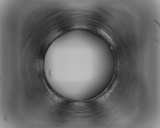 X0000096650849200802191241