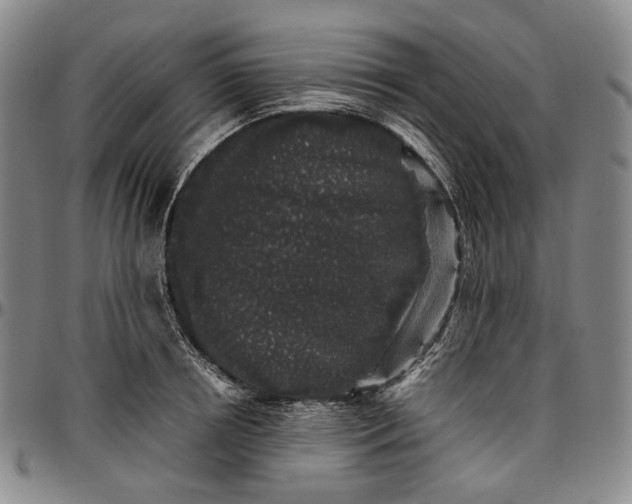 X0000096650850200802191241