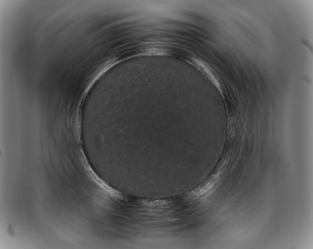 X0000096650851200802191241