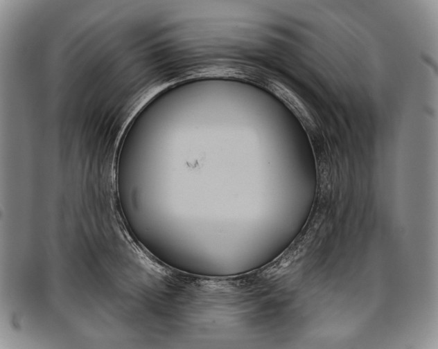 X0000096650852200802191241