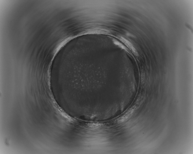 X0000096650854200802191241