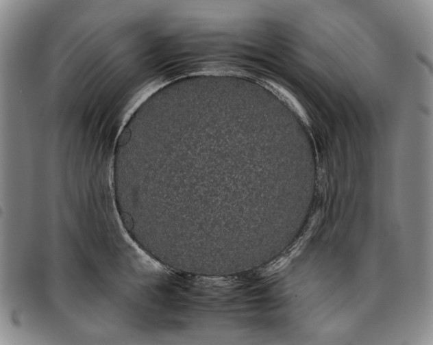 X0000096650855200802191241