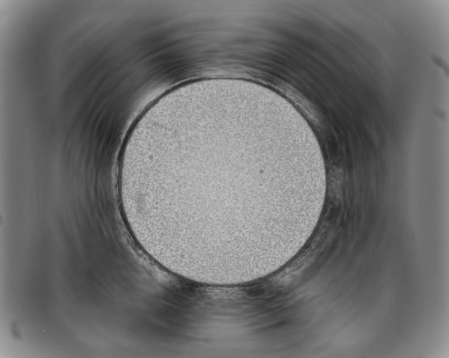 X0000096650856200802191241