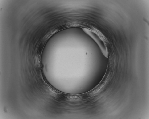 X0000096650857200802191241