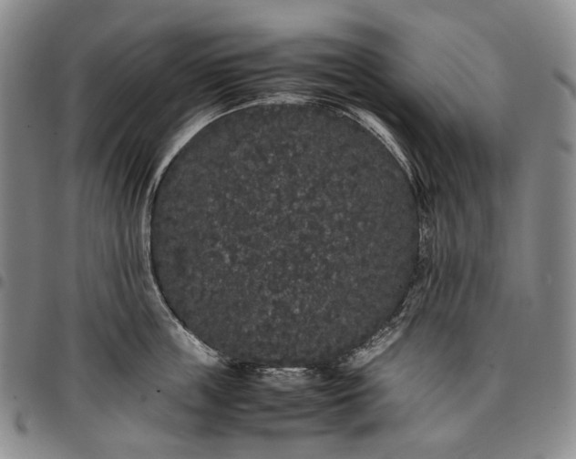 X0000096650859200802191241