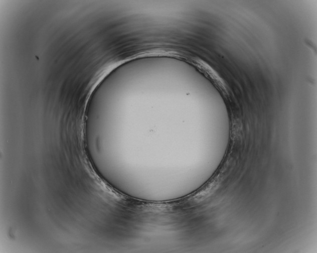 X0000096650860200802191241