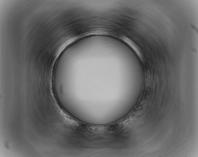 X0000096650861200802191241