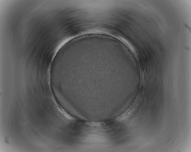 X0000096650862200802191241