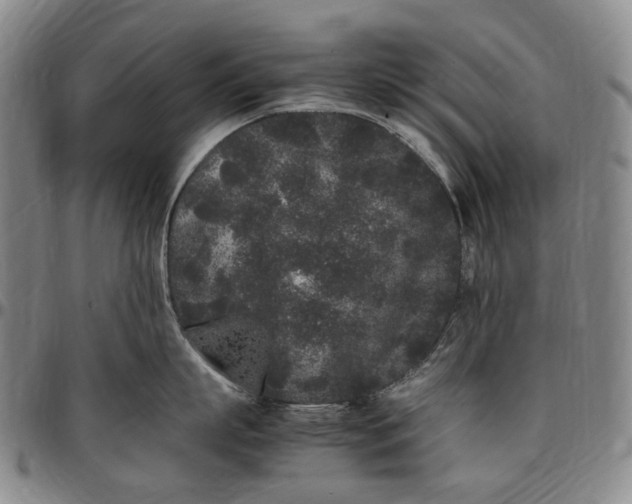 X0000096650863200802191241