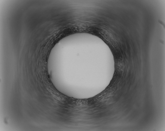 X0000096650865200802191240