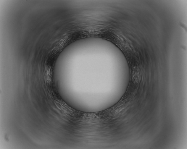 X0000096650866200802191240