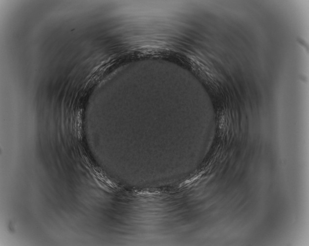 X0000096650868200802191240