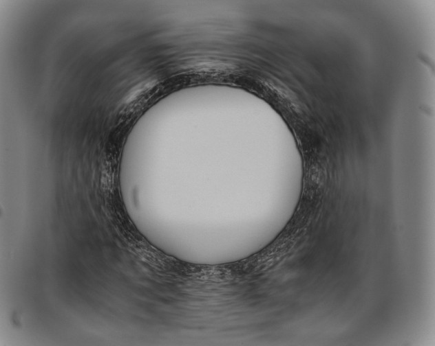 X0000096650869200802191240