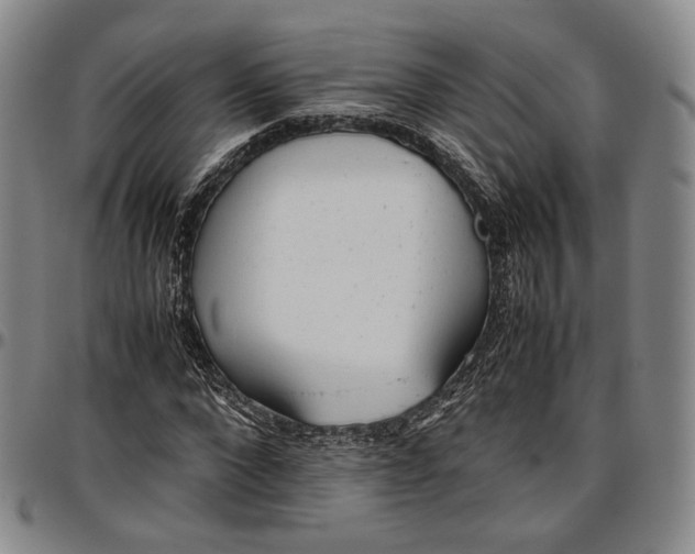 X0000096650872200802191240
