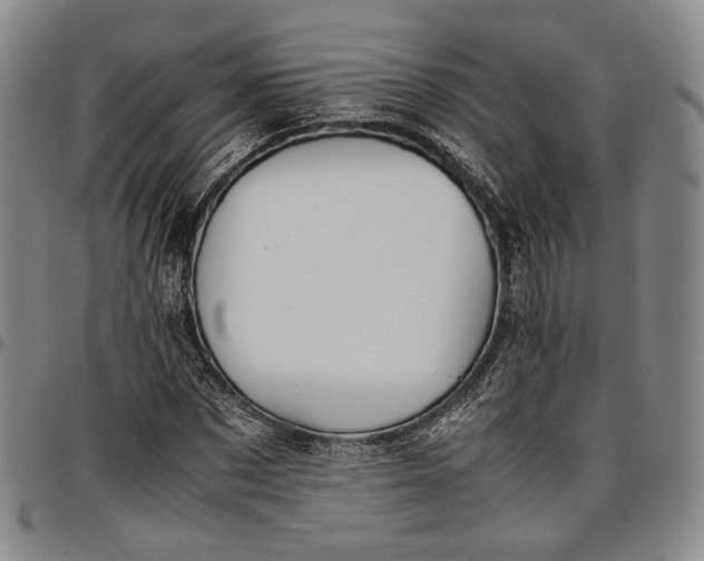 X0000096650873200802191240