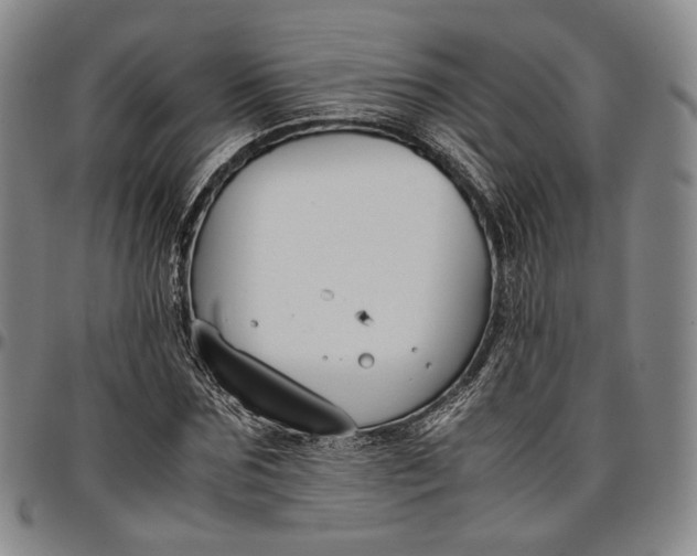 X0000096650875200802191240