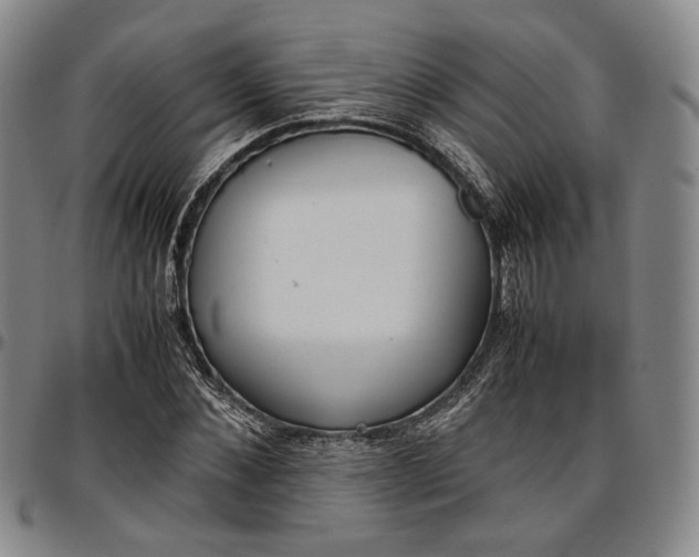 X0000096650876200802191240