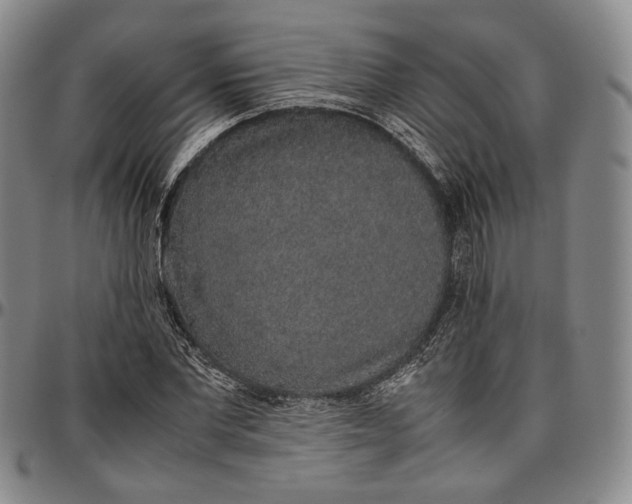 X0000096650877200802191240