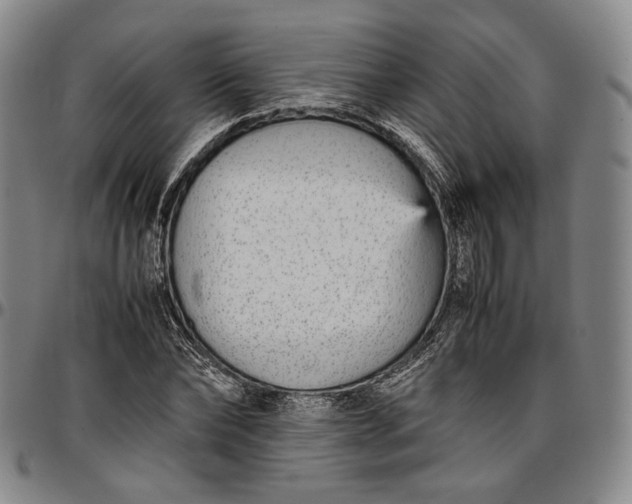 X0000096650878200802191240
