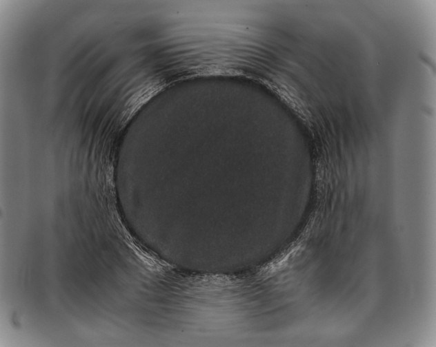 X0000096650881200802191240