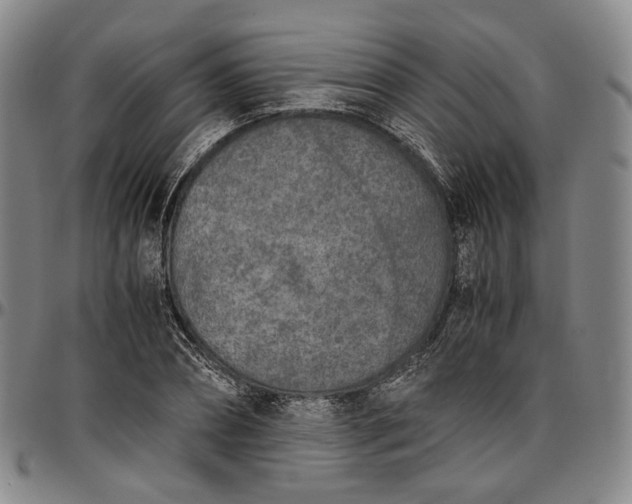 X0000096650882200802191240